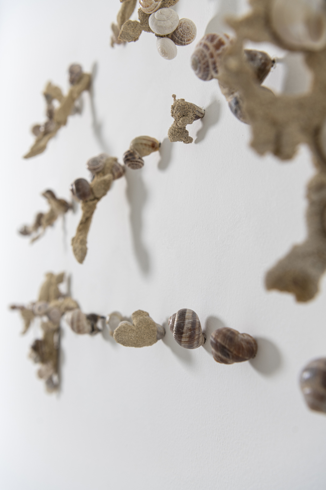 SHELLS, 2024 | calcarenite stone Pachna formation / land snail shells / 57 x 225 x 9.5 cm