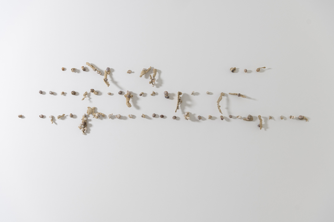 SHELLS, 2024 | calcarenite stone Pachna formation / land snail shells / 57 x 225 x 9.5 cm