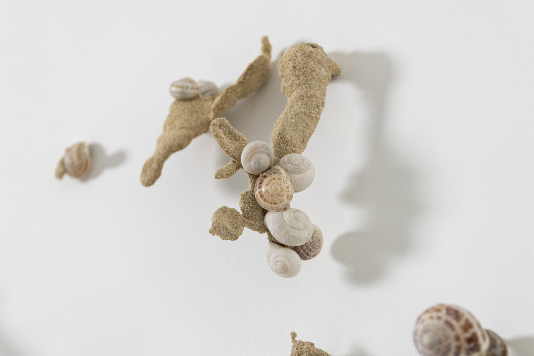 SHELLS, 2024 calcarenite stone Pachna formation / land snail shells / 57 x 225 x 9.5 cm
